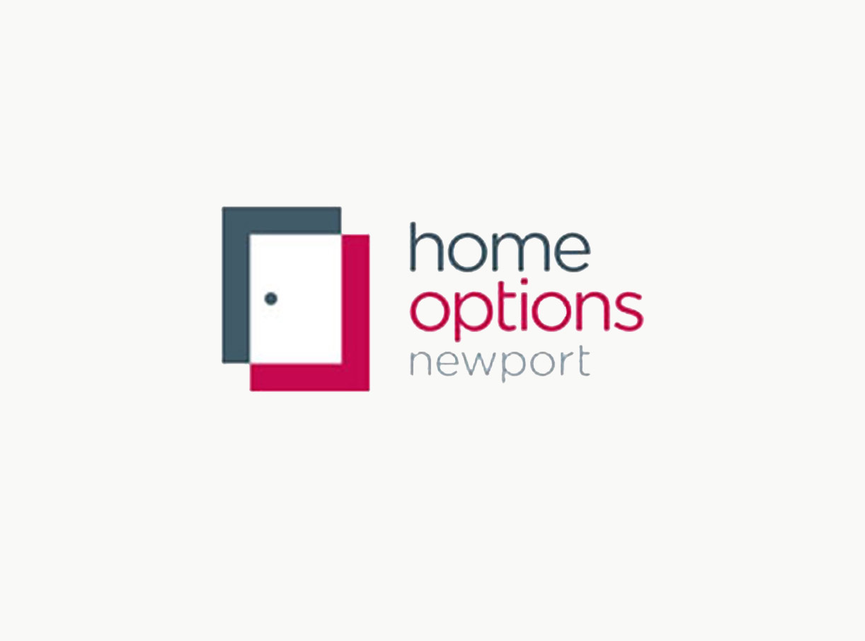 Home Options Newport logo